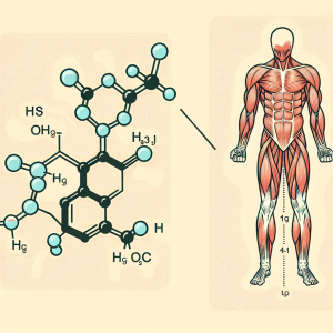 Cómo afecta Methyltestosterone a la sensación de fatiga muscular